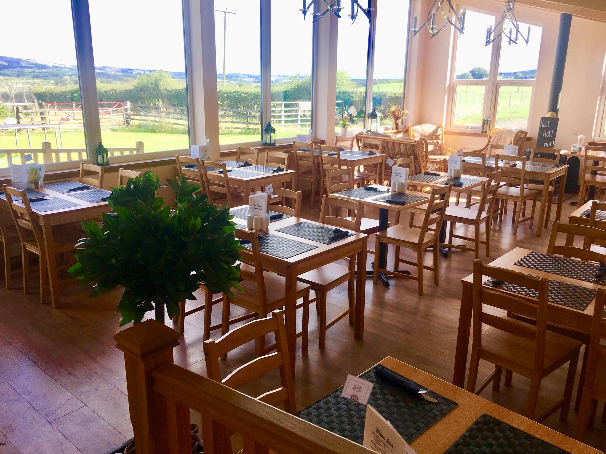 The tearoom at Auchengree Farm Shop near Dalry, looking out over the fields.